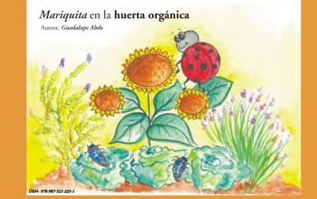 Mariquita en la huerta orgánica