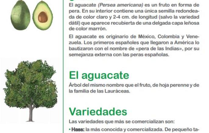 El libro sabio de las frutas y las verduras